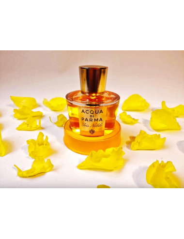 Acqua Di Parma Iris Nobile Refill EDP Acqua Di Parma - rosso.shop