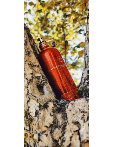 Montale Oud Tobacco EDP Montale - rosso.shop