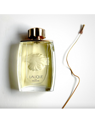 Lalique Pour Homme EDT Lalique - rosso.shop